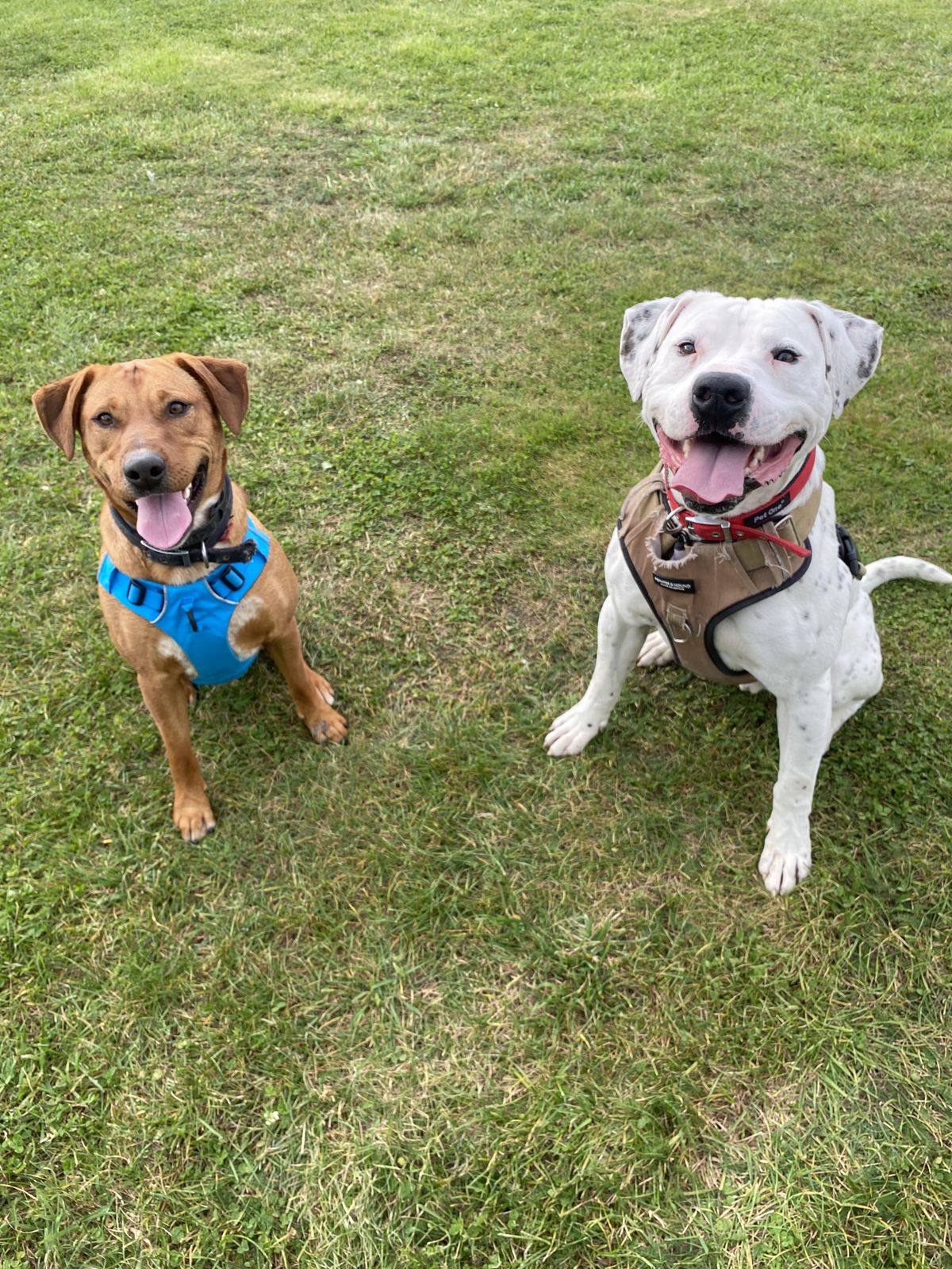 Gallery image: Albie