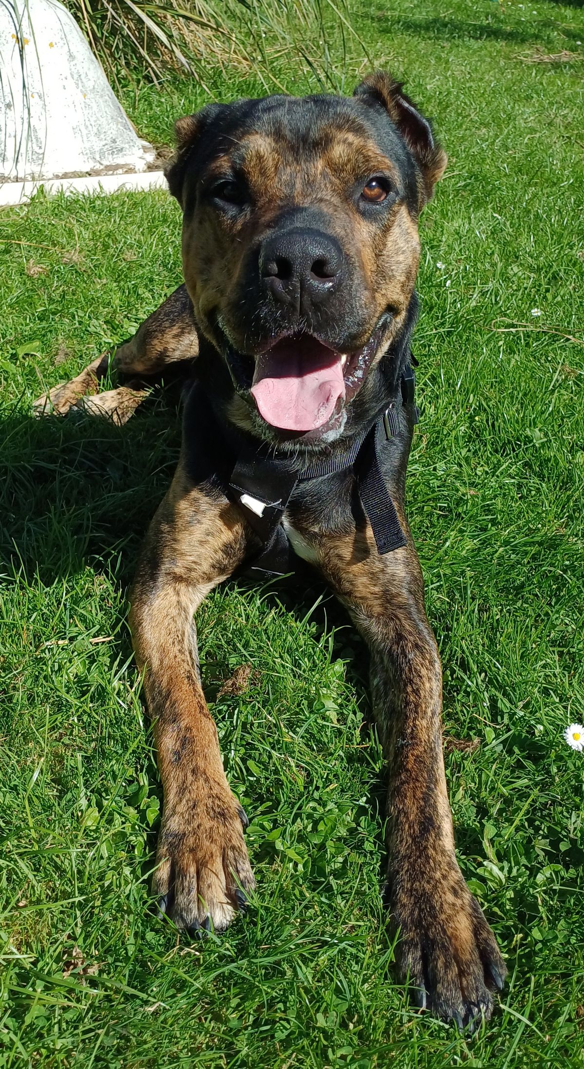 Gallery image: Ragnar