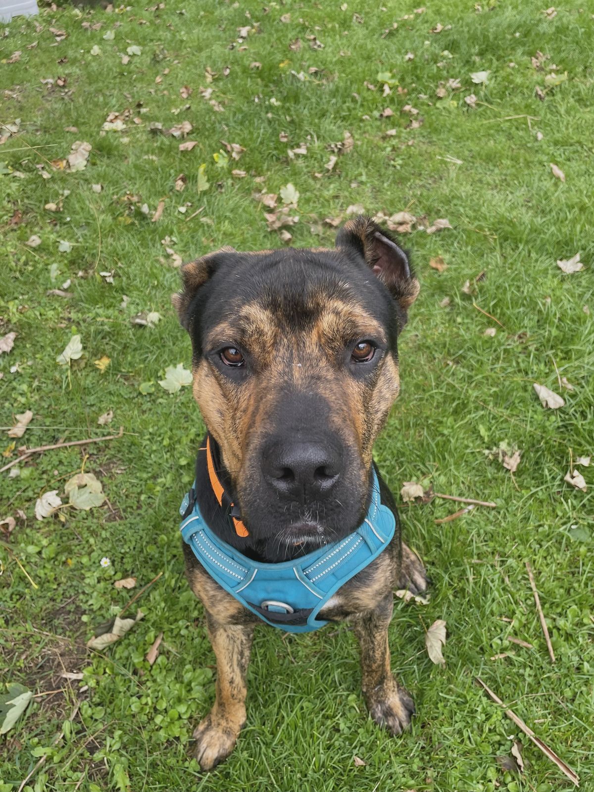 Gallery image: Ragnar