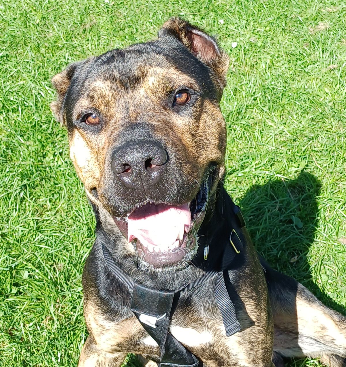 Gallery image: Ragnar