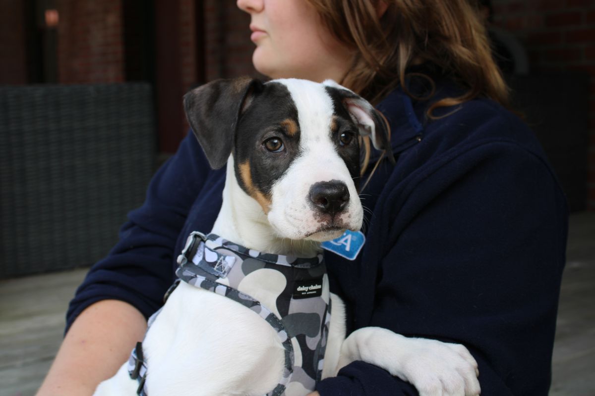 Gallery image: Edison