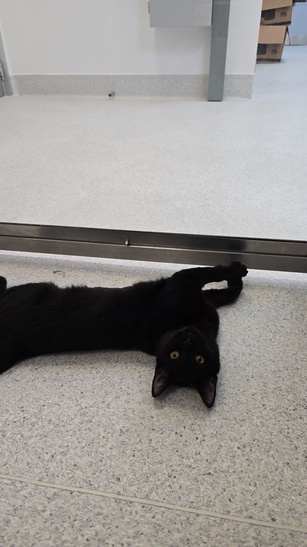 Gallery image: Tilly 