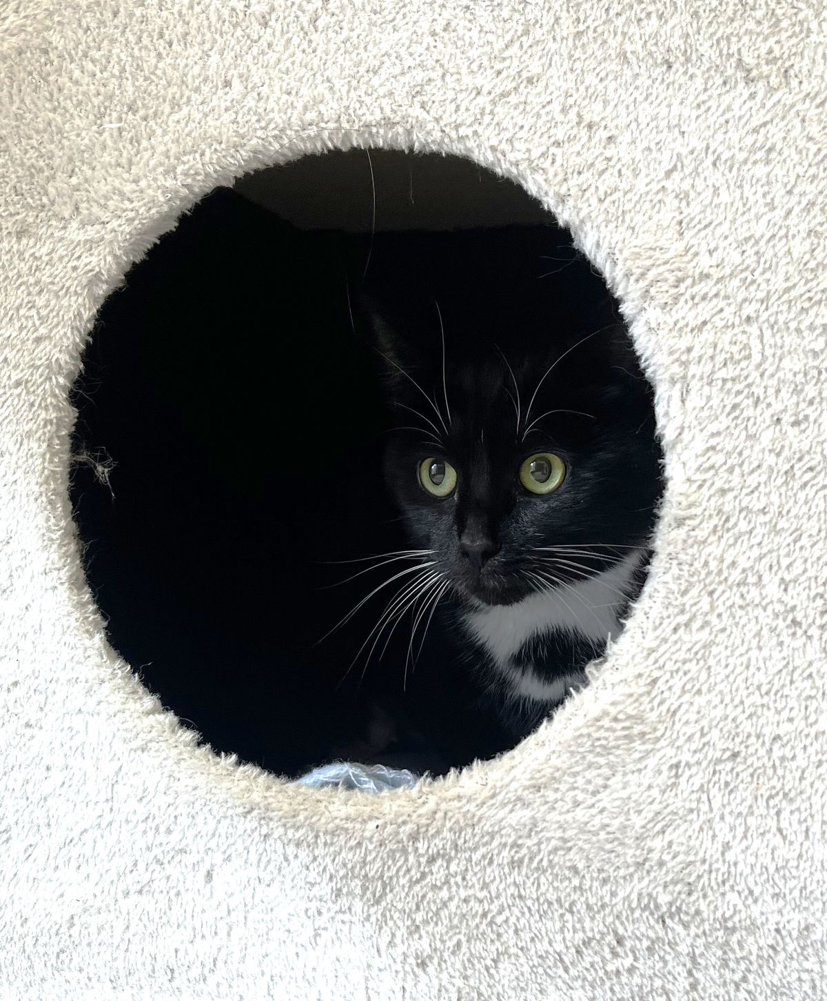 Gallery image: Patience