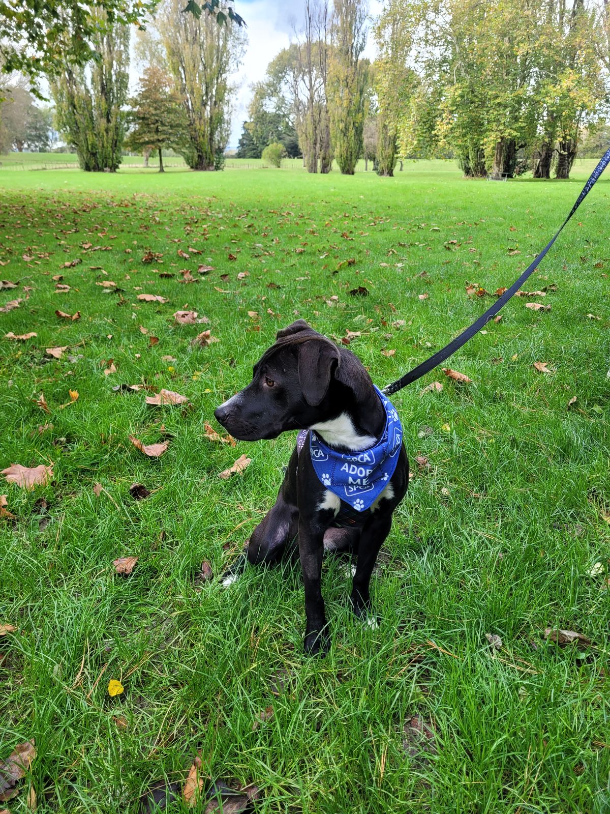 Gallery image: Violet 