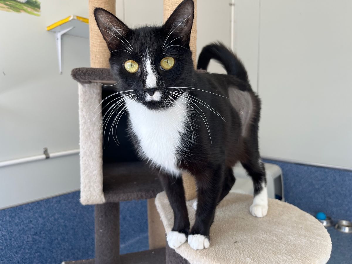 Gallery image: Magenta