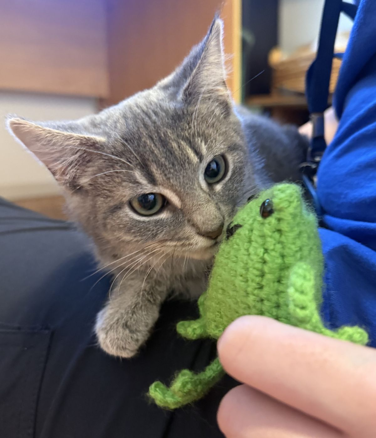 Gallery image: Pearl