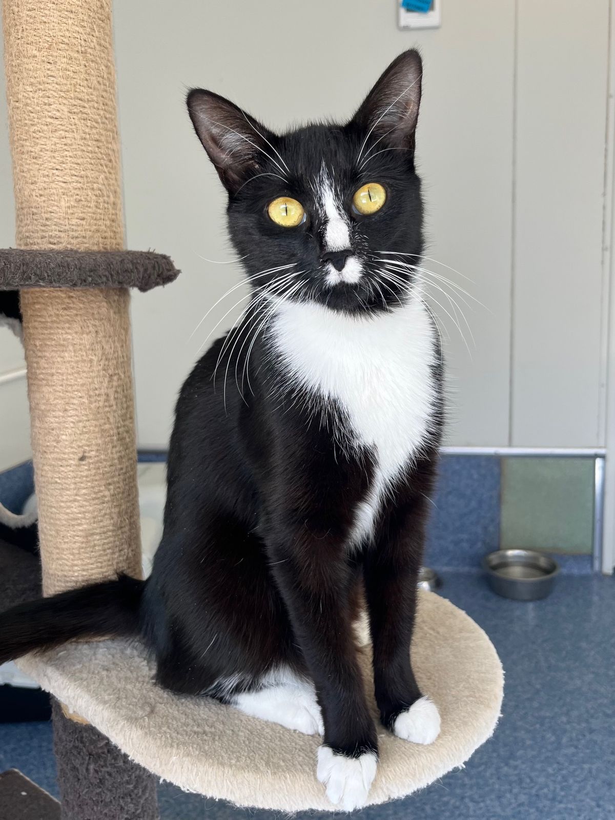 Gallery image: Magenta