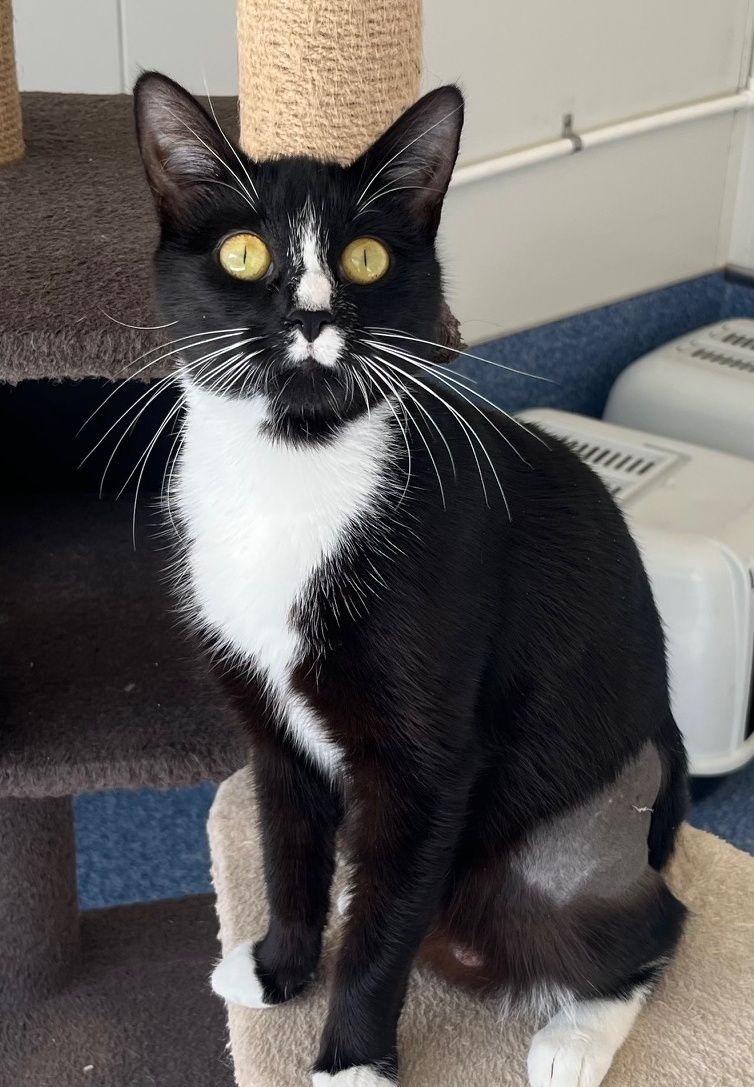 Gallery image: Magenta