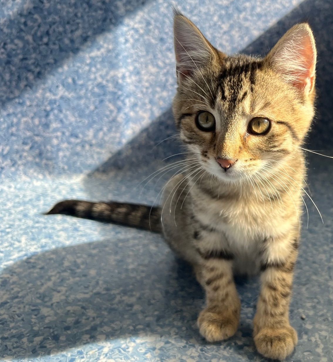 Gallery image: Frank N Furter