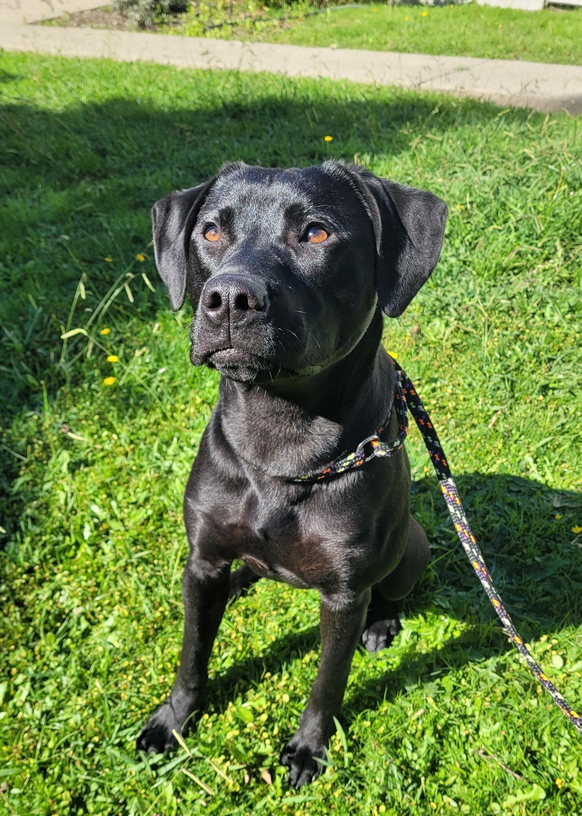 Gallery image: Tonka