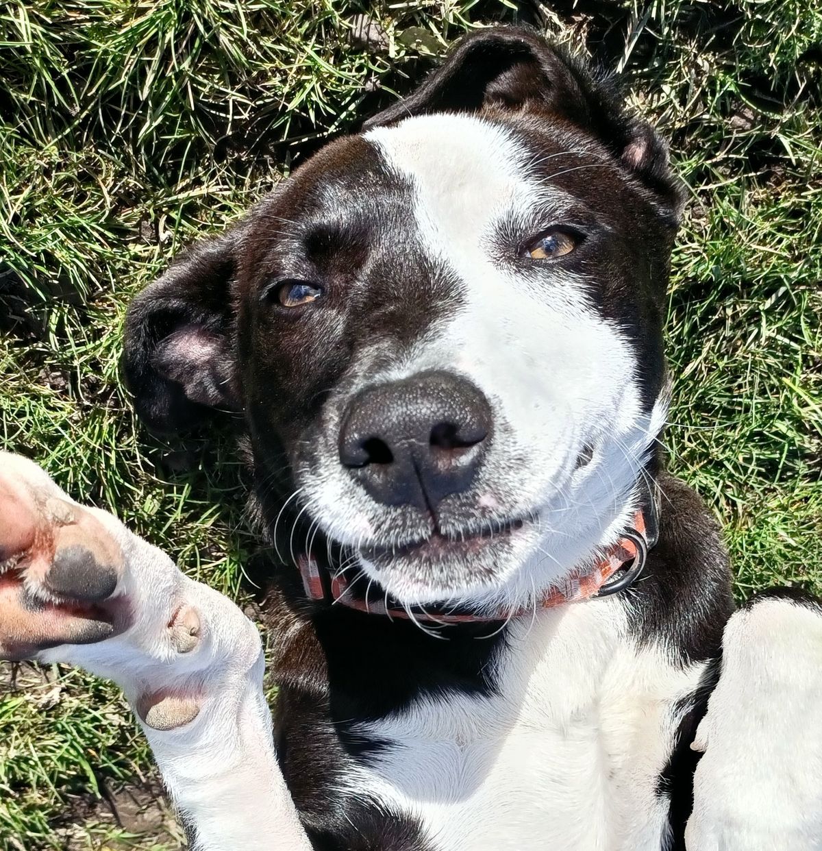 Gallery image: Namaari