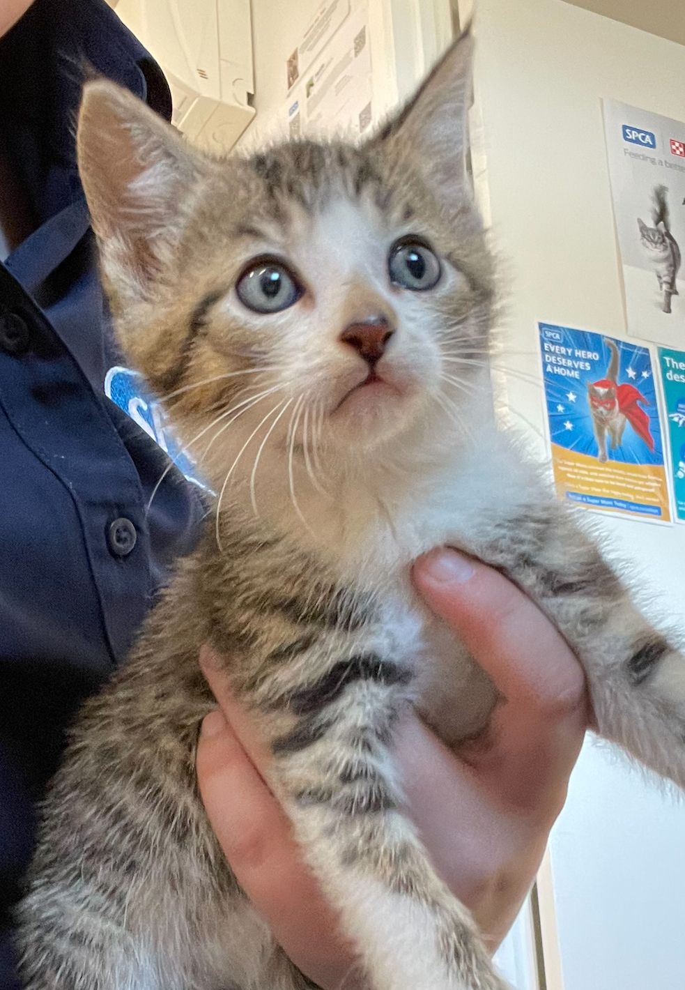 Gallery image: Flint