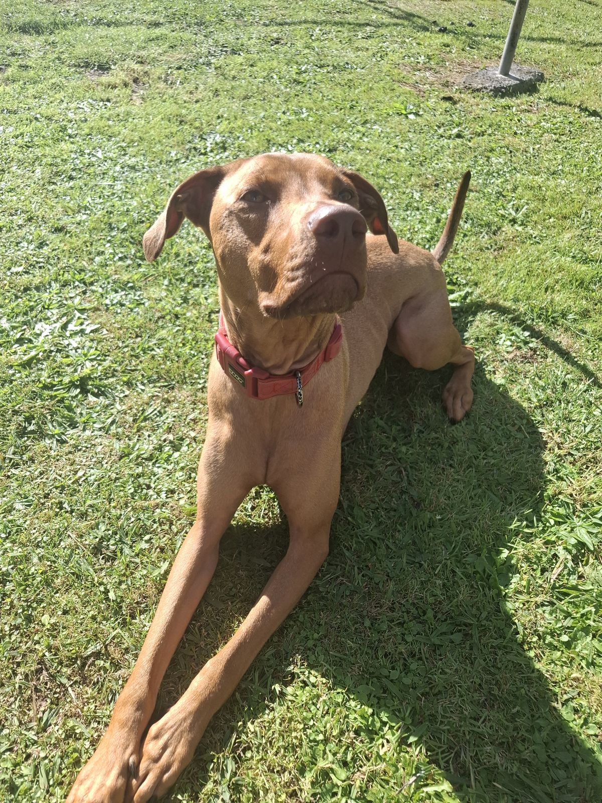 Gallery image: Charlie 