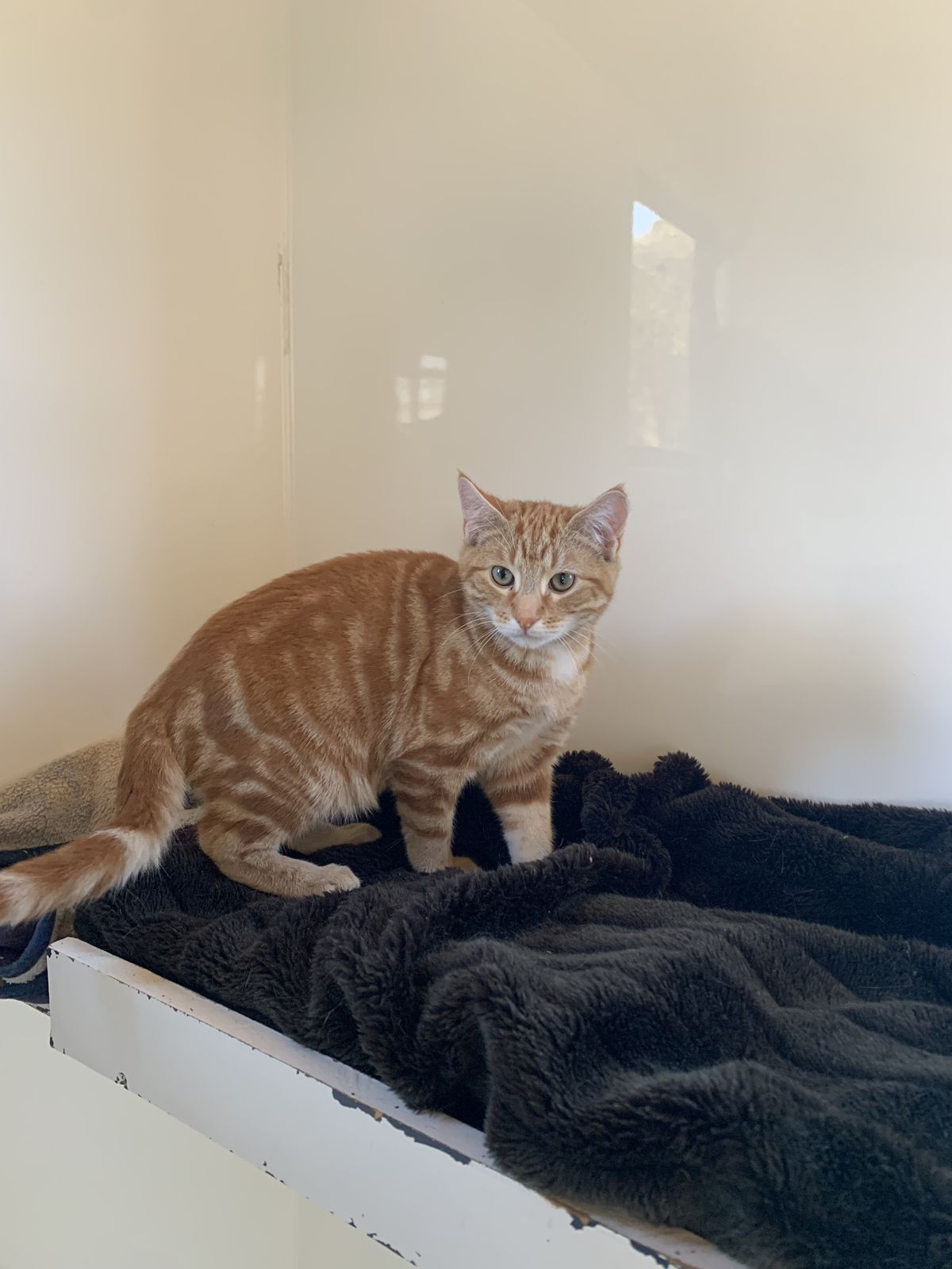 Gallery image: Beacon