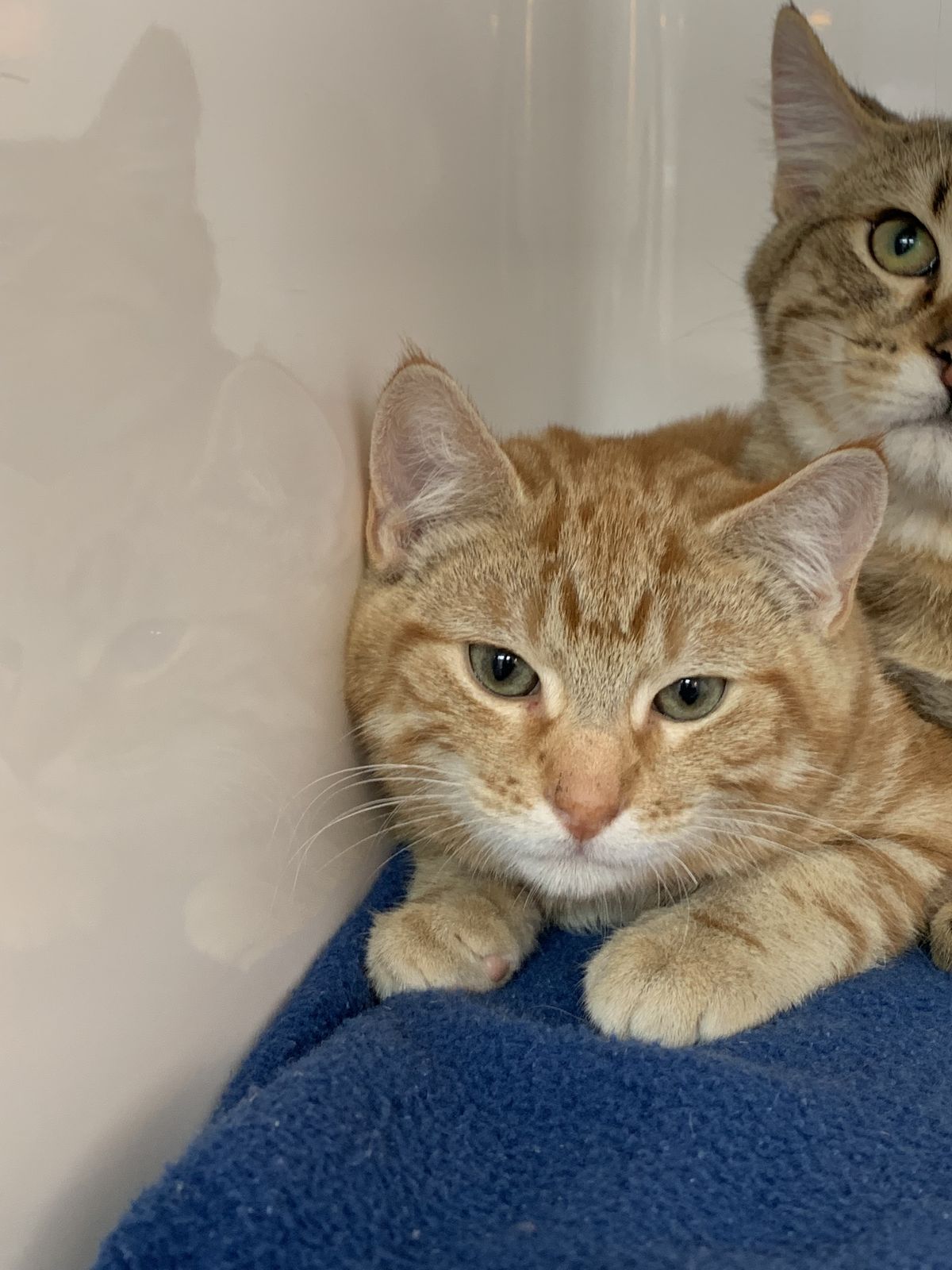 Gallery image: Beacon