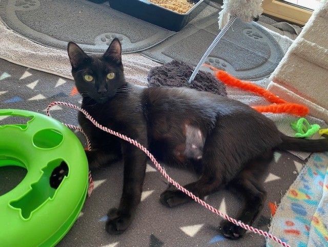 Gallery image: Fruitsalad