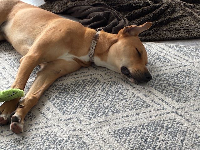 Gallery image: Zephyr