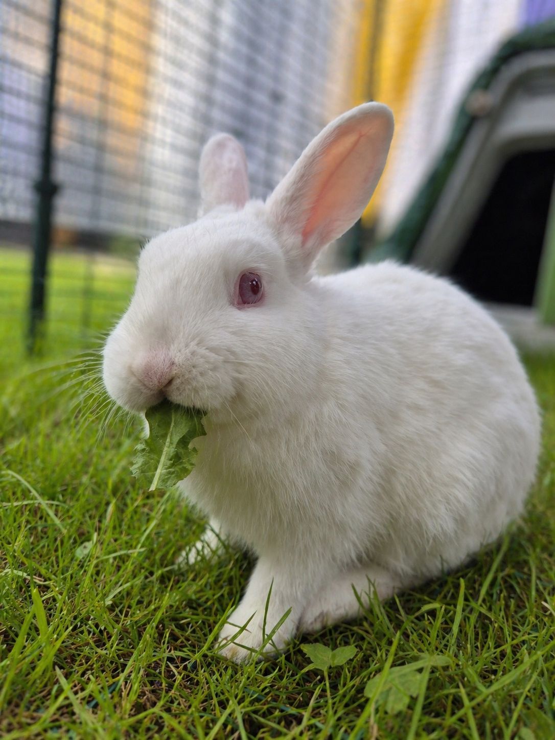 Gallery image: Penne