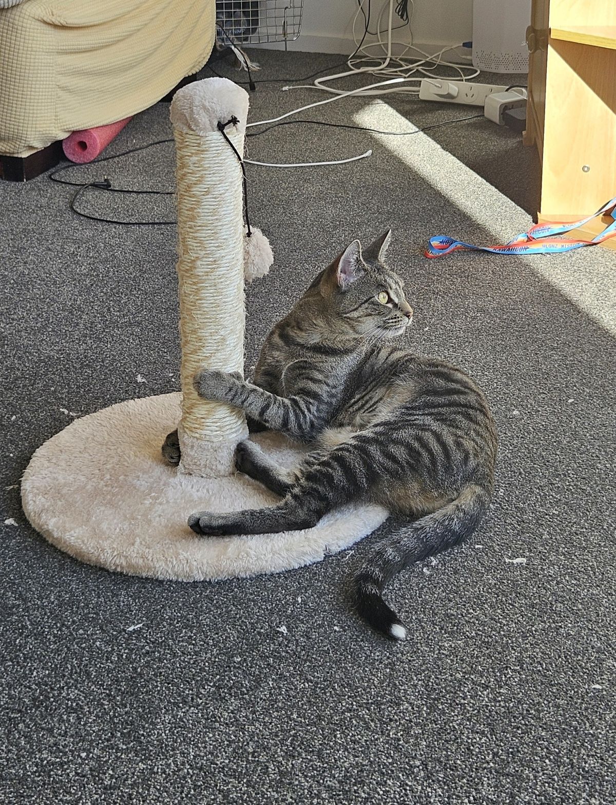 Gallery image: Snaggletooth