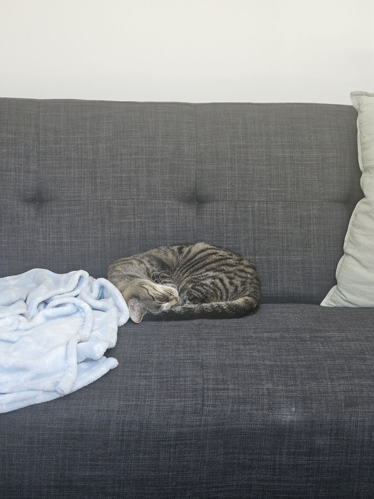 Gallery image: Snaggletooth