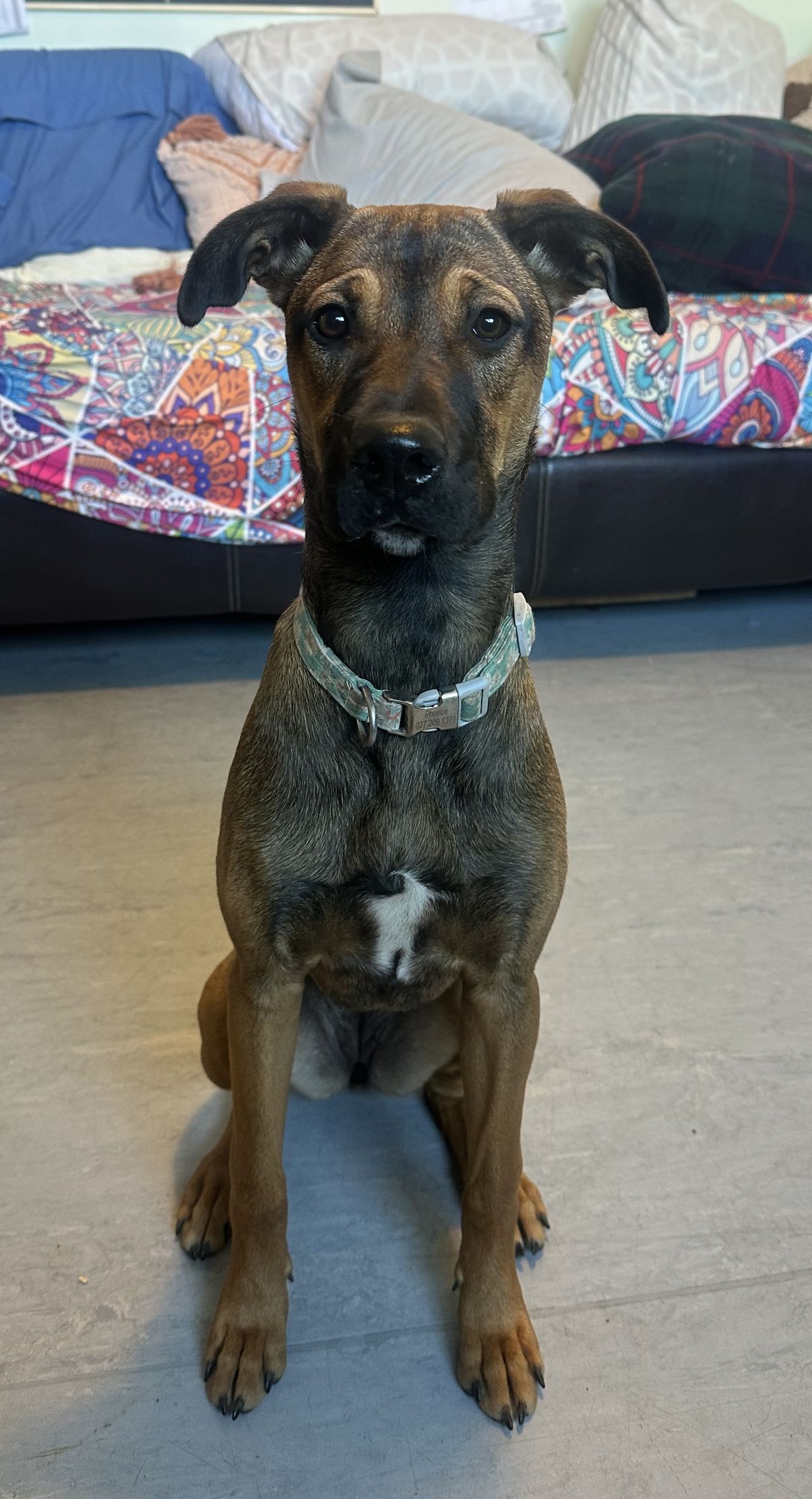 Gallery image: Pebbles