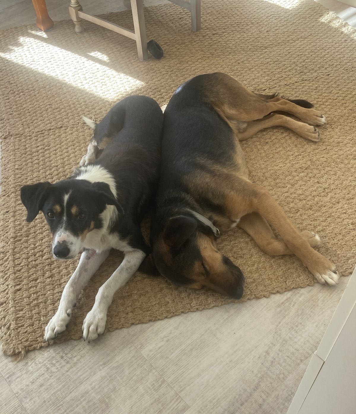 Gallery image: Diego