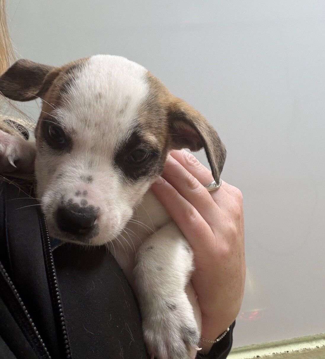 Gallery image: Pilot