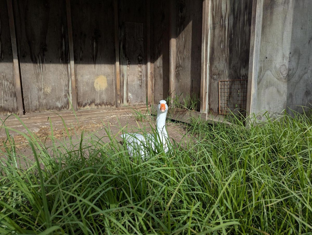 Gallery image: Juice