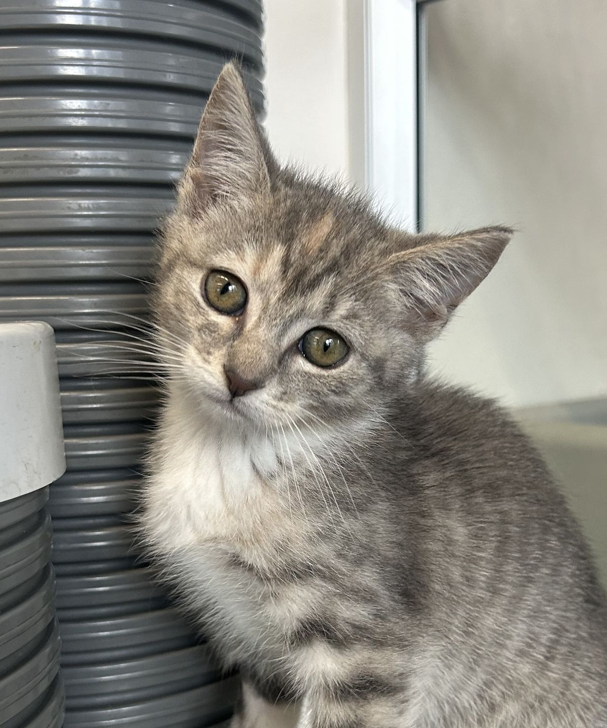 Gallery image: Flicker