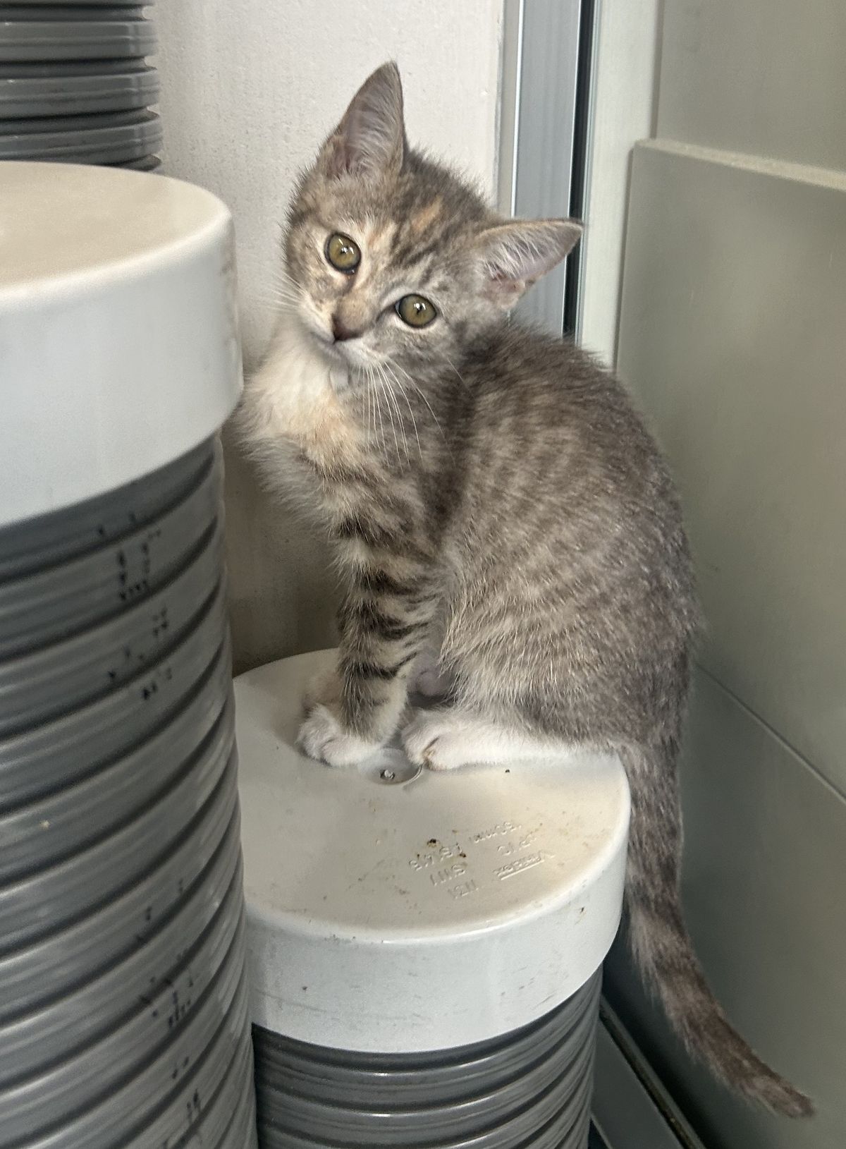 Gallery image: Flicker