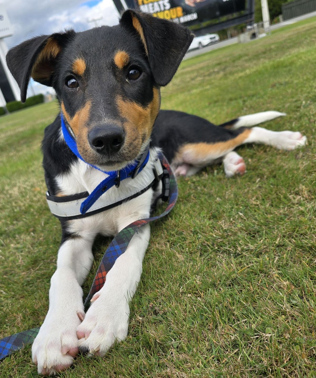 Gallery image: Cooper