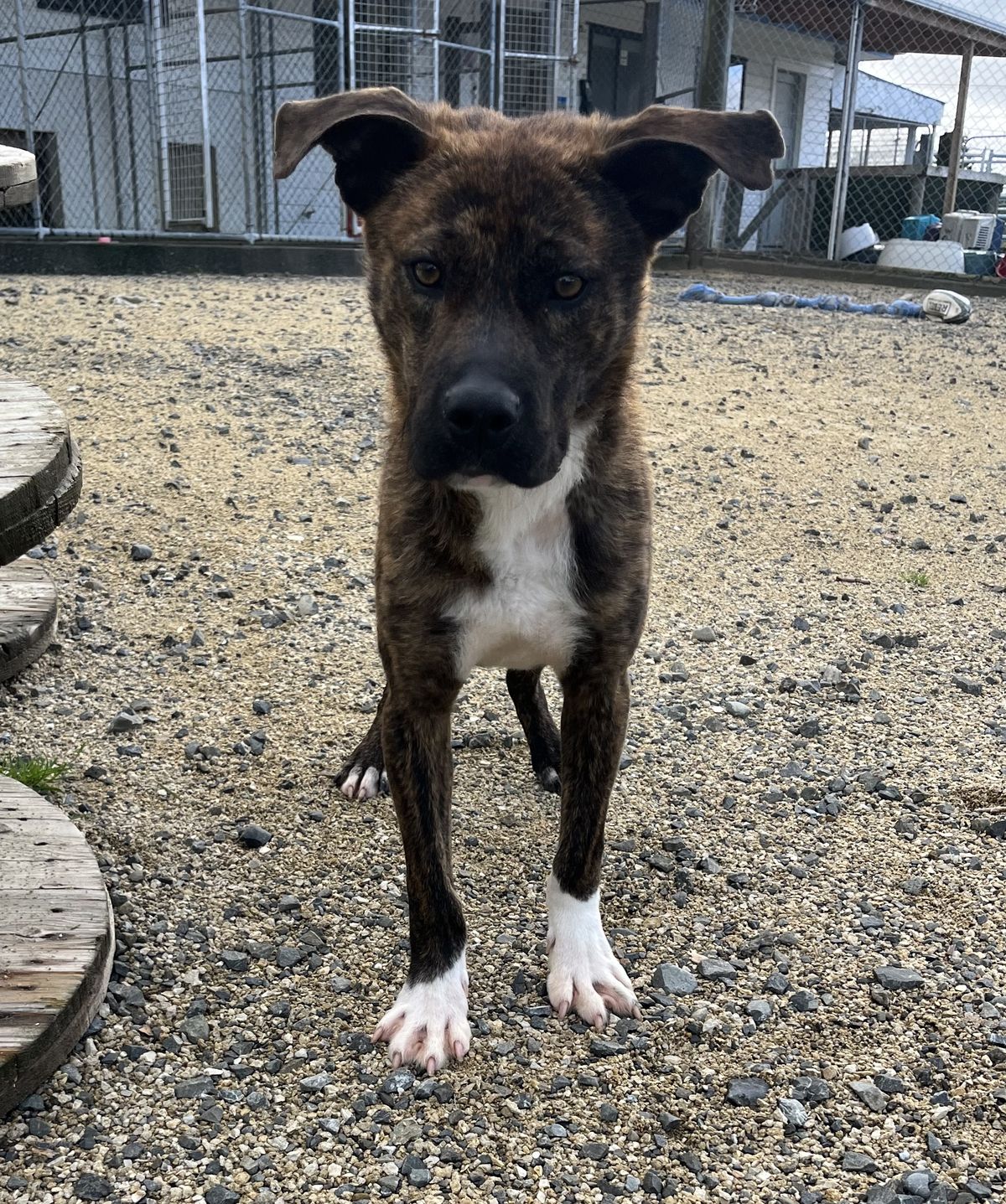 Gallery image: Murphy