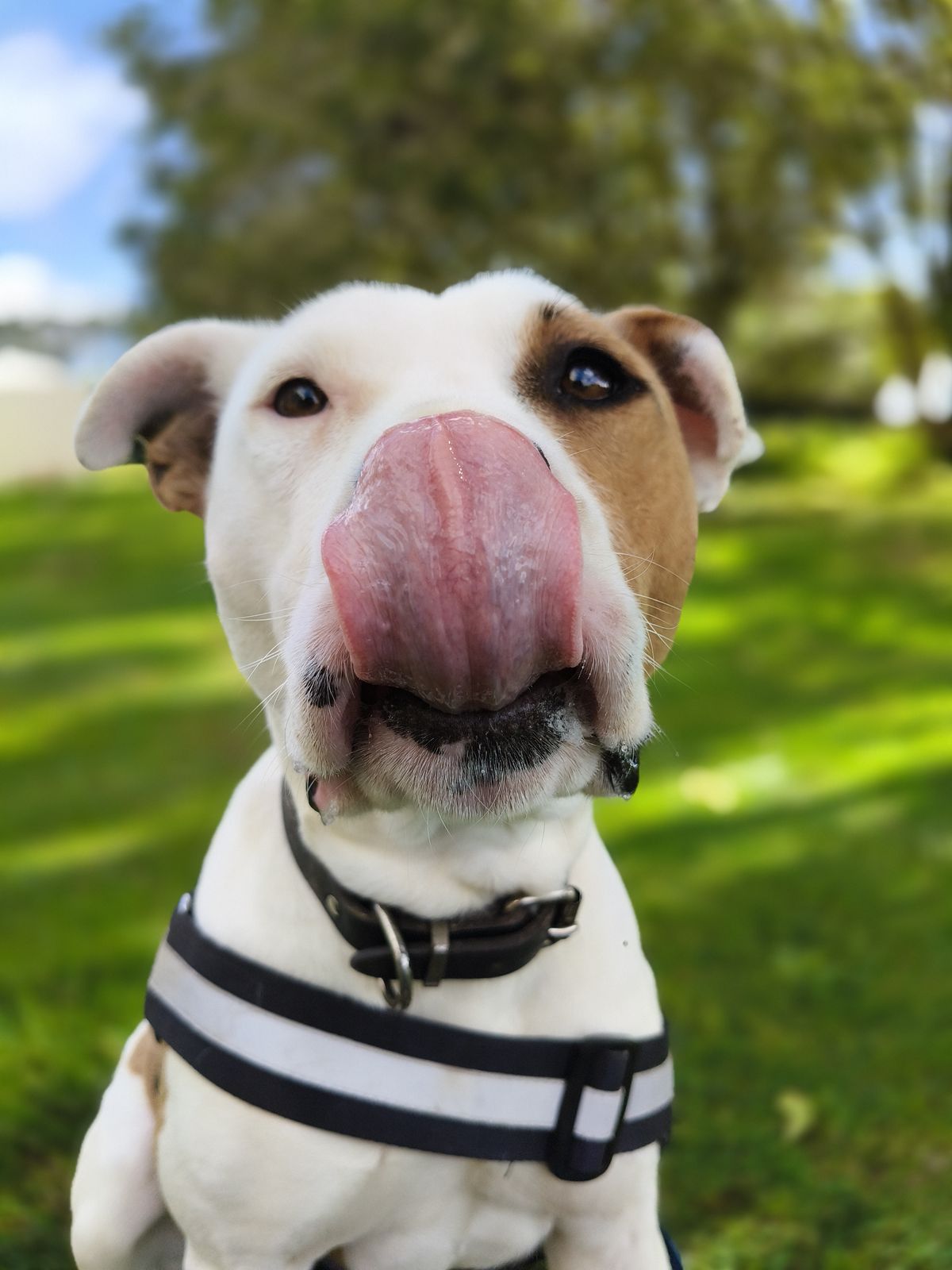 Gallery image: Queen