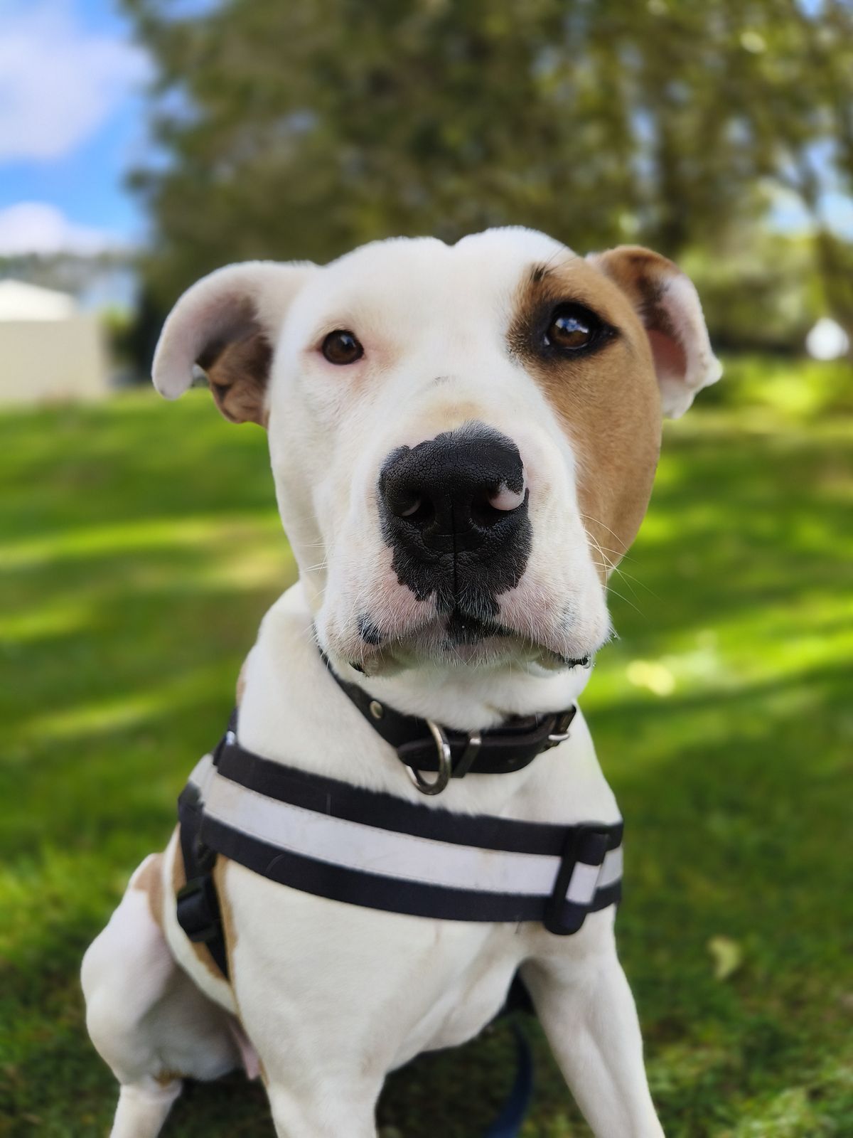 Gallery image: Queen