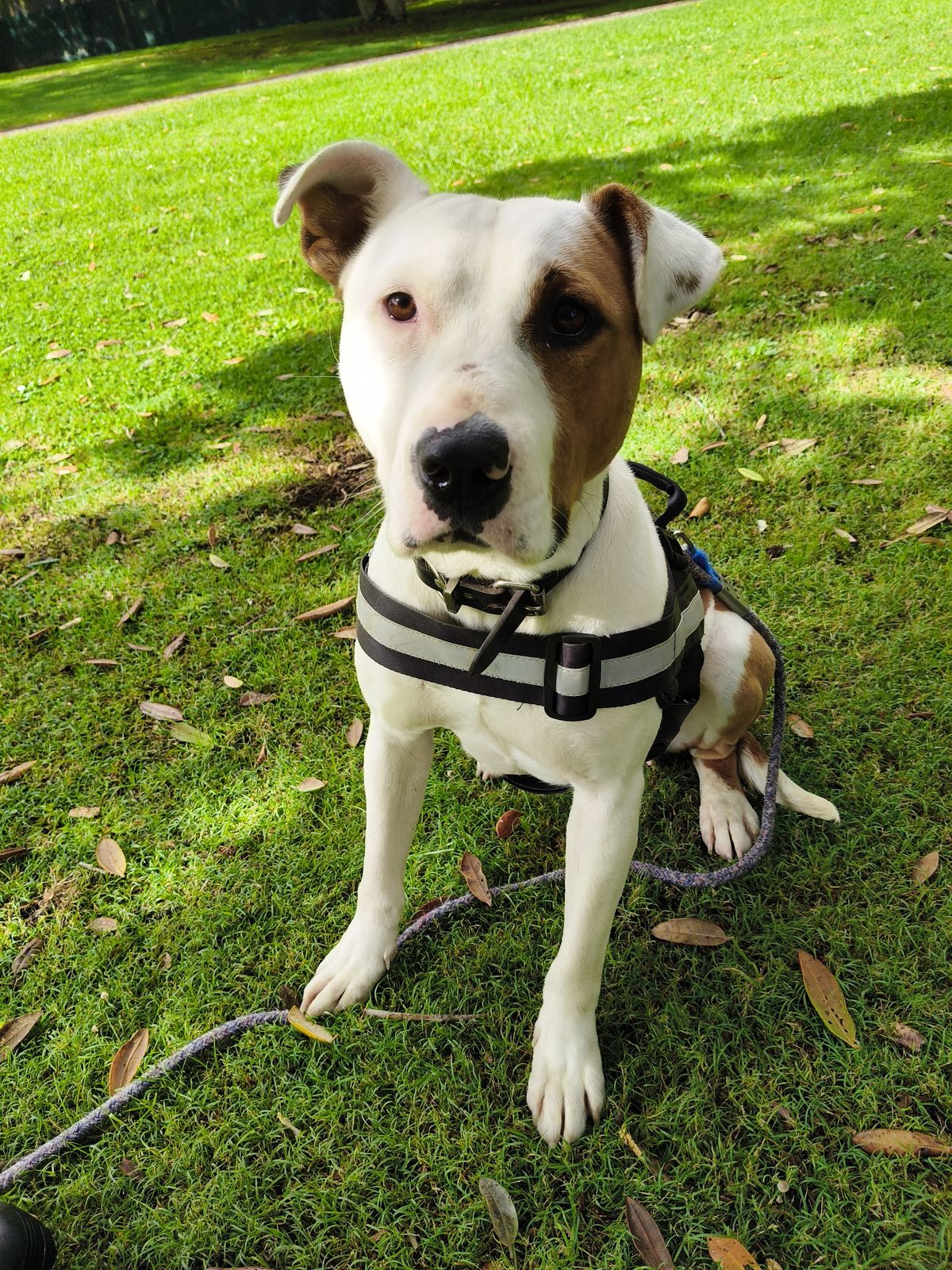 Gallery image: Queen