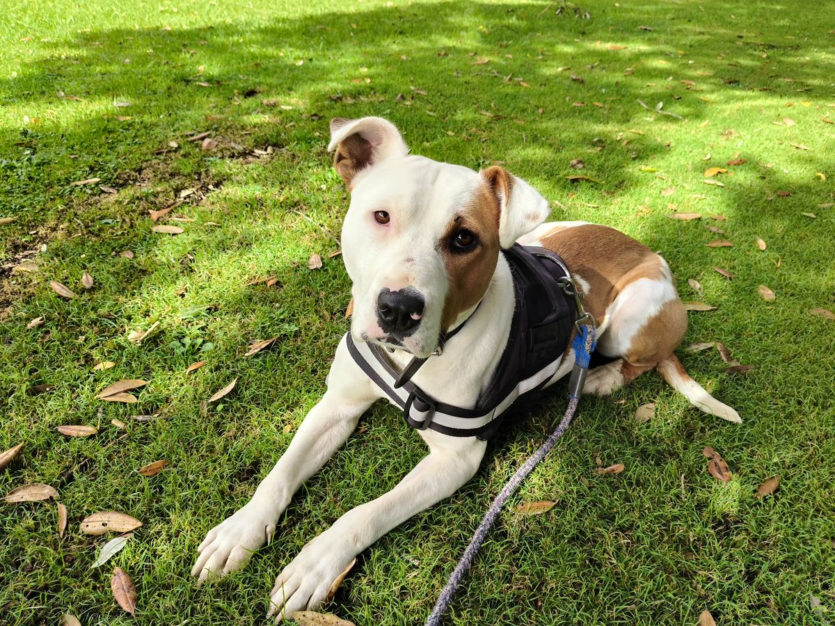 Gallery image: Queen