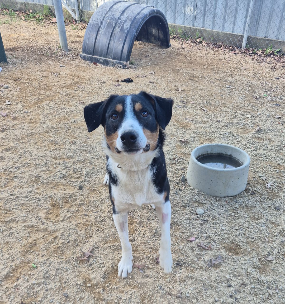 Gallery image: Romney