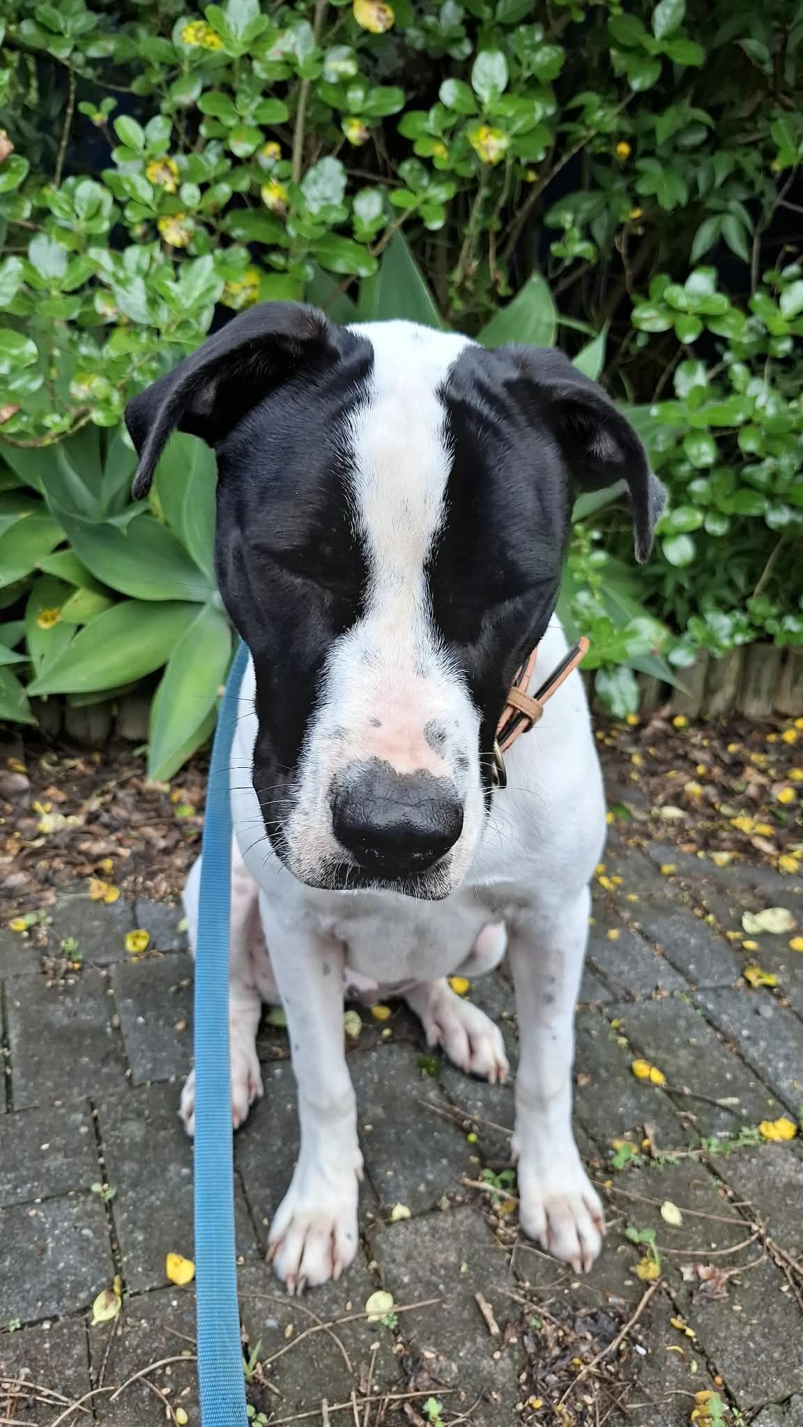 Gallery image: Archer