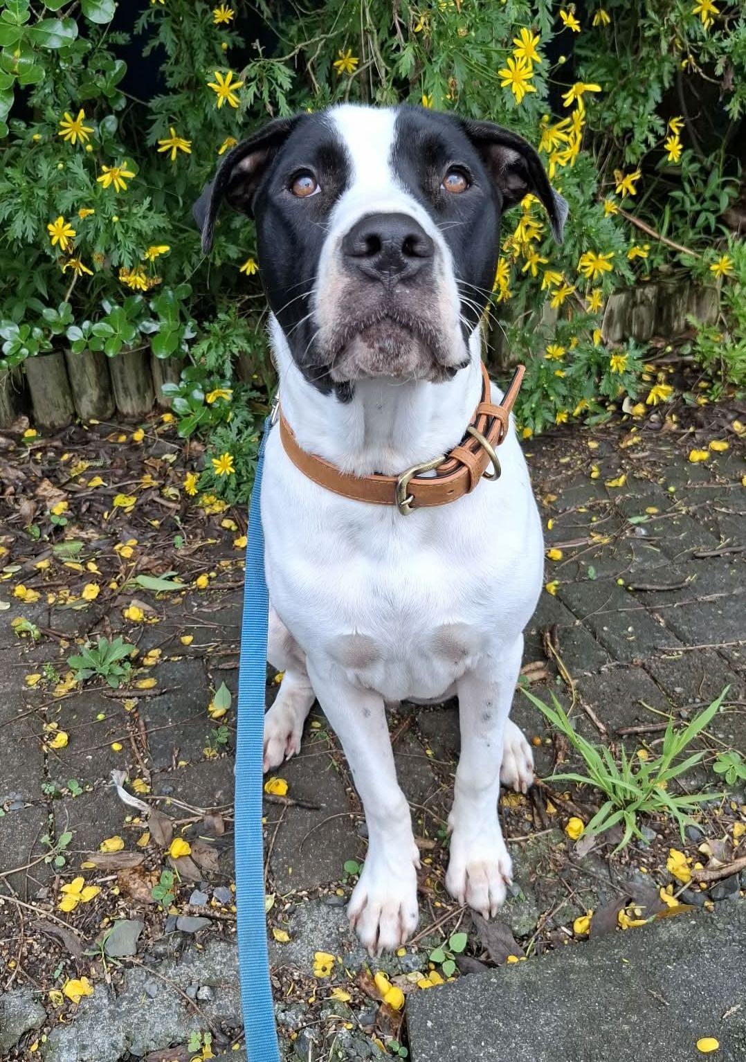 Gallery image: Archer