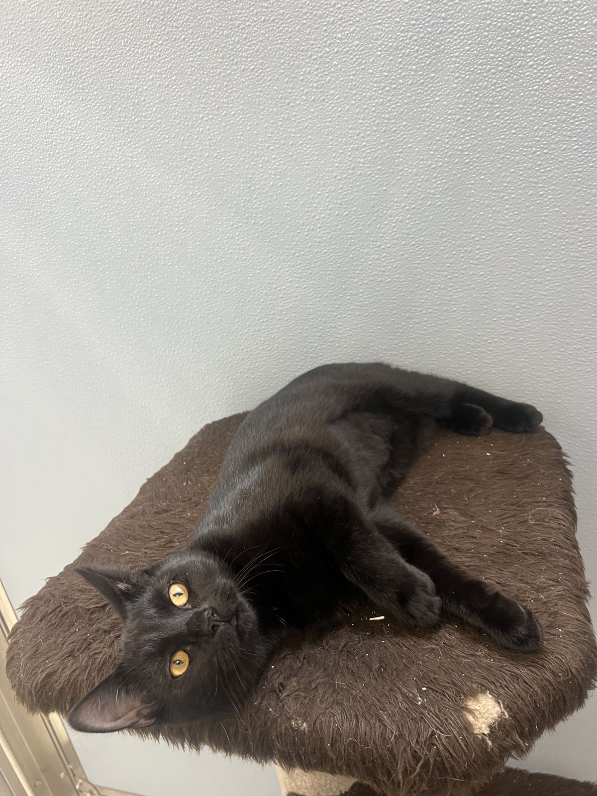 Gallery image: Tilly 