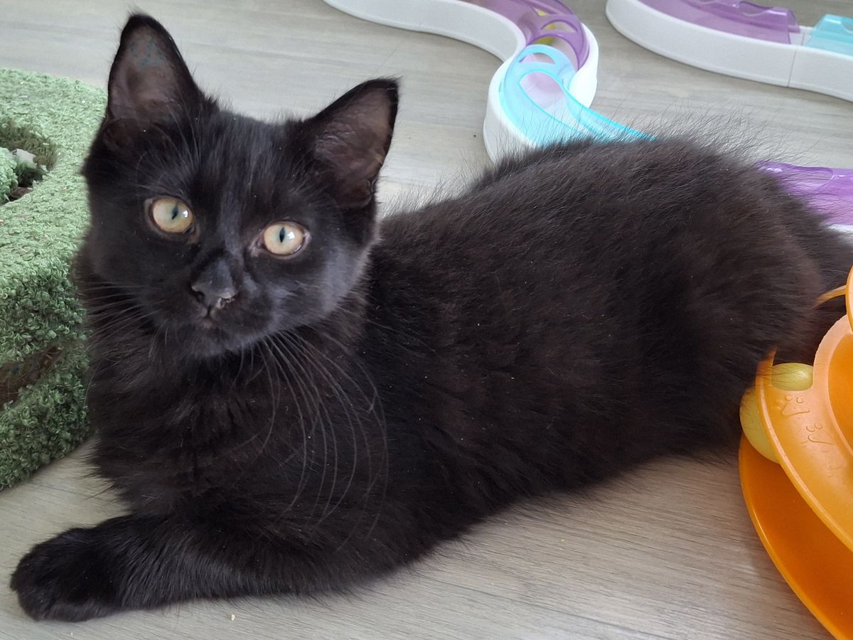 Gallery image: Tamara