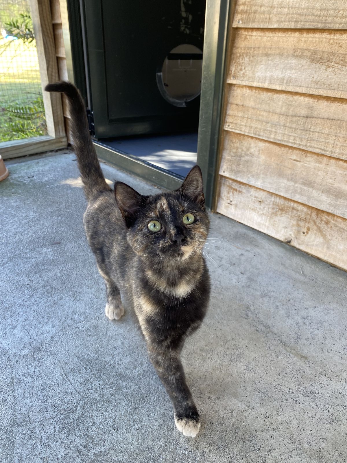 Gallery image: Eggnog