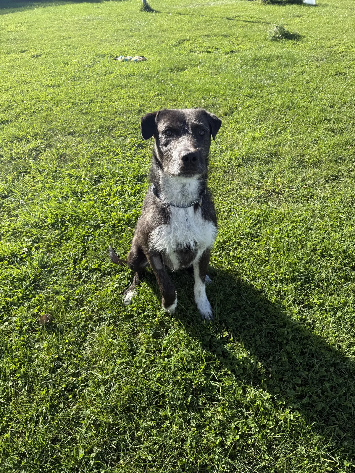 Gallery image: Spike