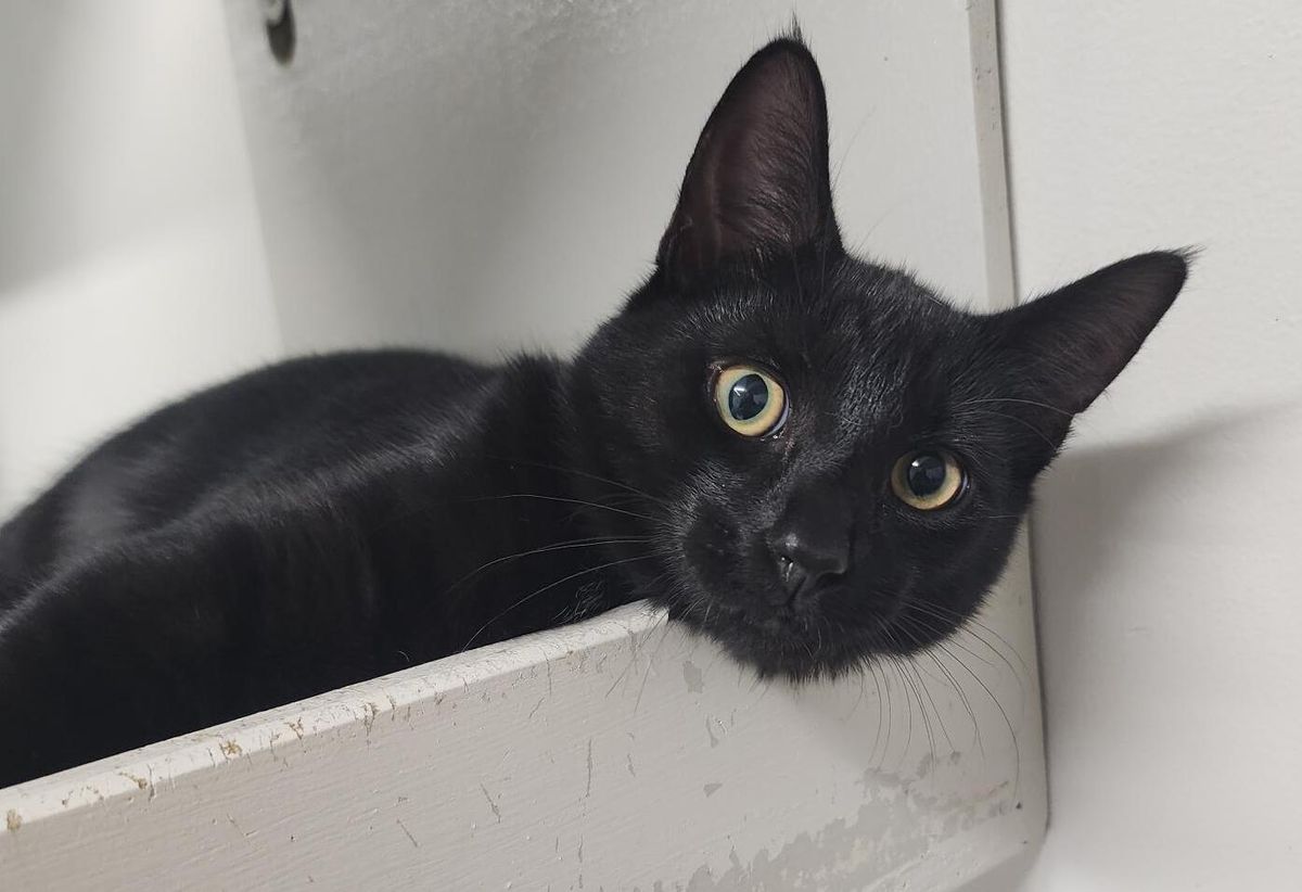 Gallery image: Charles From Hr