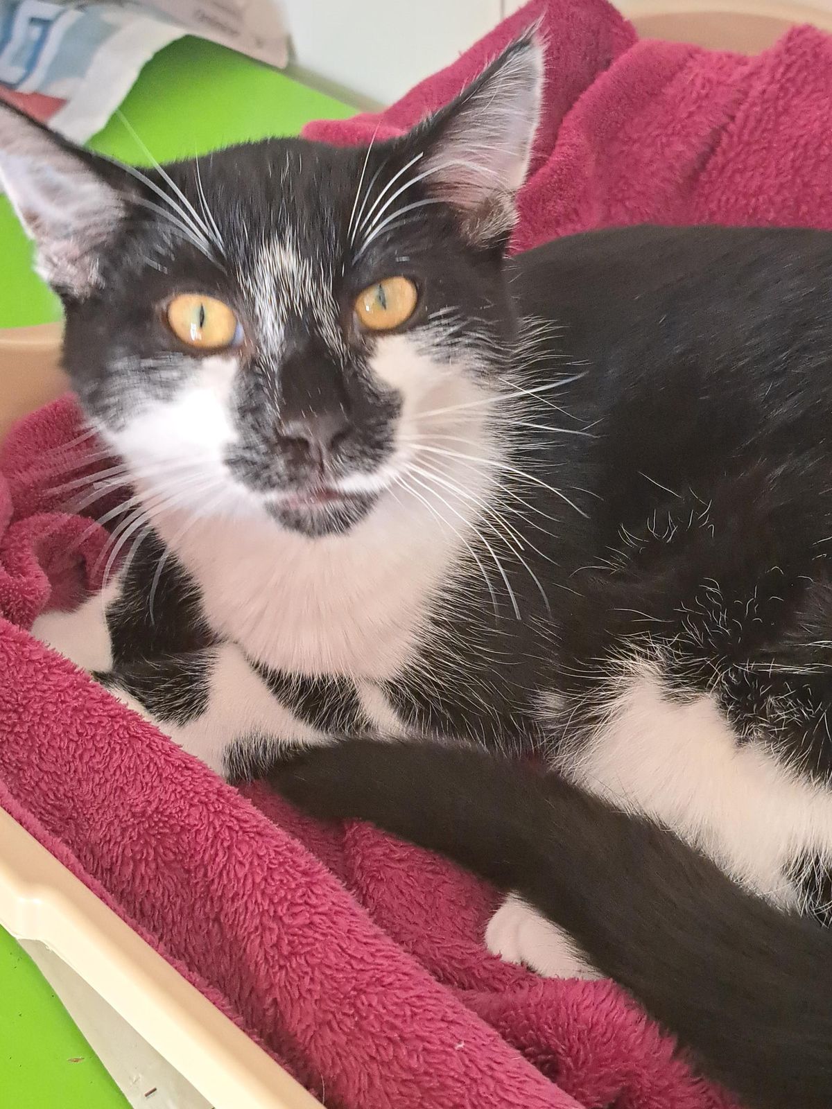 Gallery image: Dewey