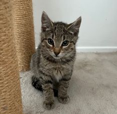 Gallery image: Marcus