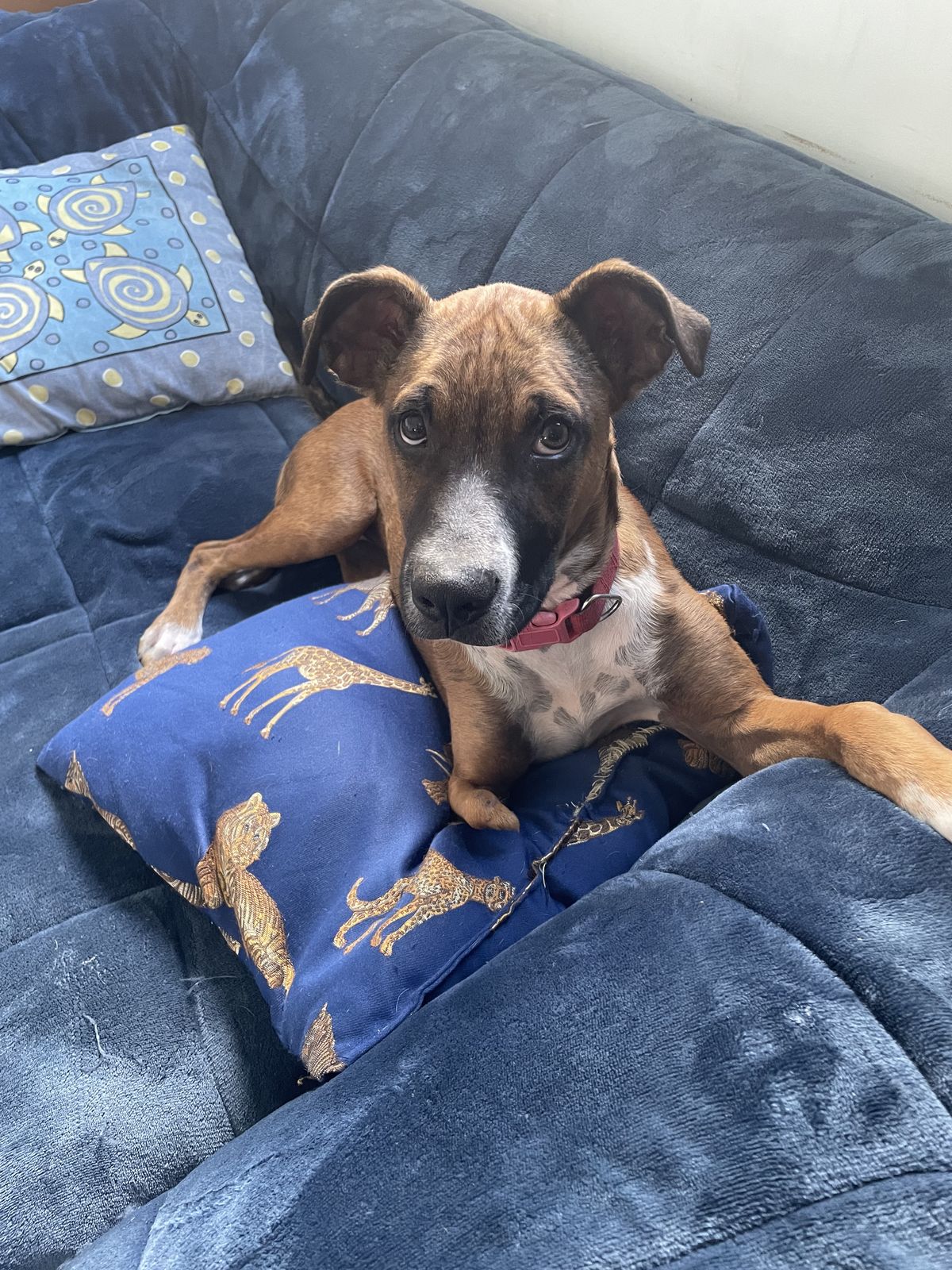 Gallery image: Peggy