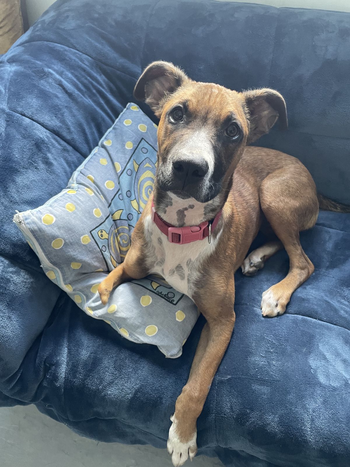 Gallery image: Peggy