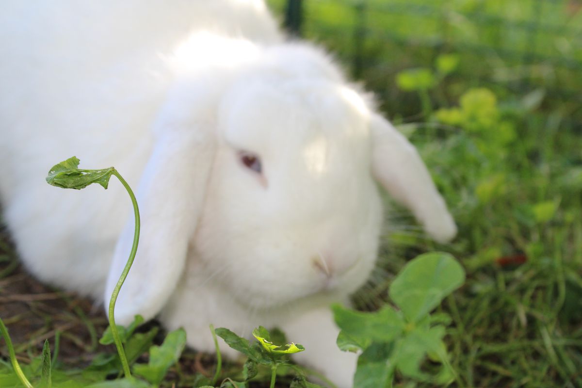 Gallery image: Squiz