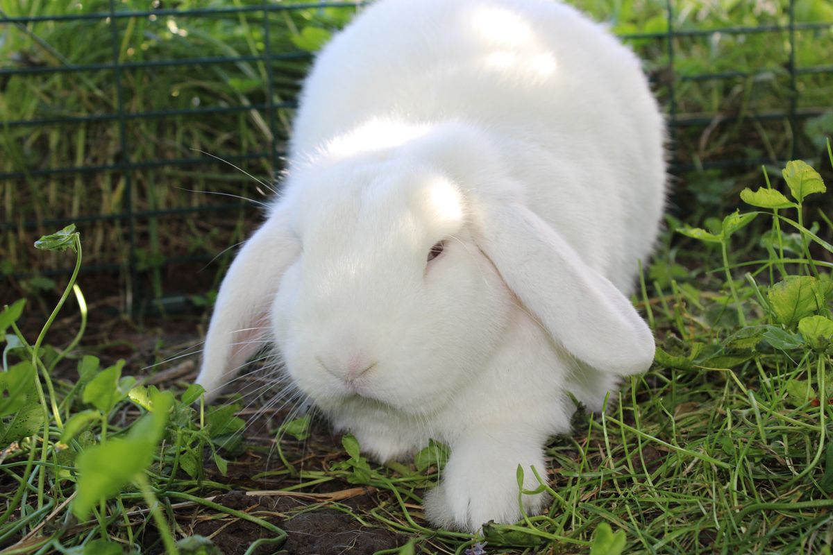 Gallery image: Squiz